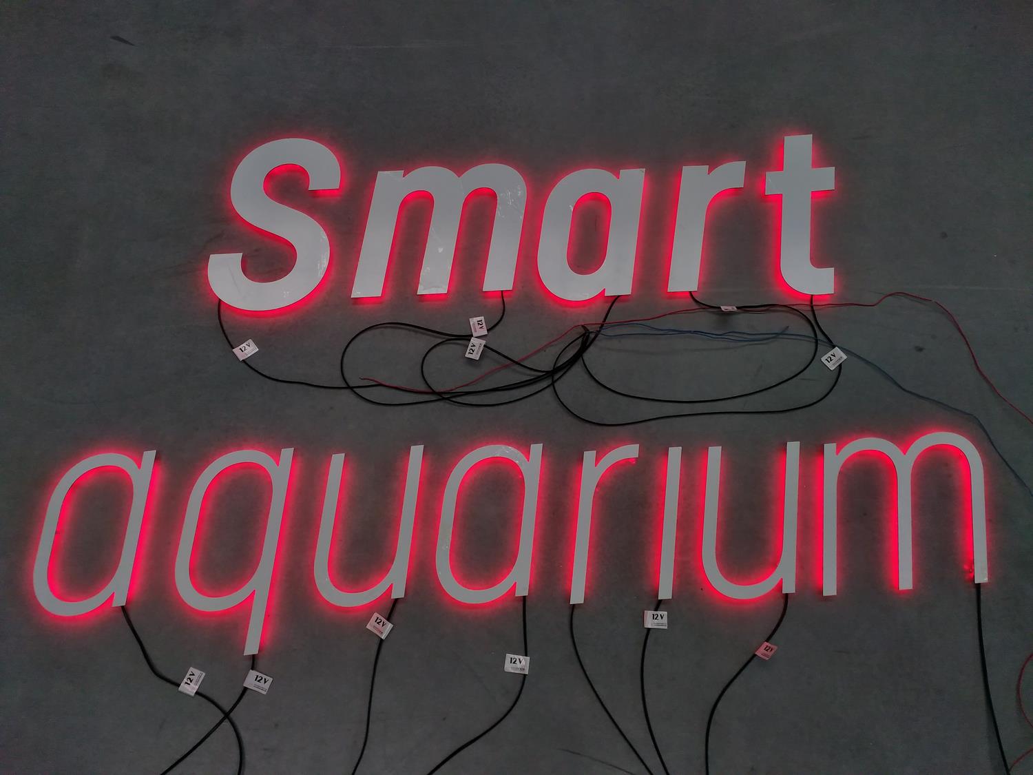 Efekt HALO - Smart Aquarium